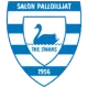 Logo Salon Palloilijat